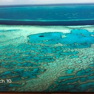 Meet your Posher, Barbara